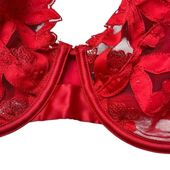 Victoria’s Secret Floral Embroidery Bra Very Sexy Unlined Demi Red 36DD Sheer - Picture 3 of 8